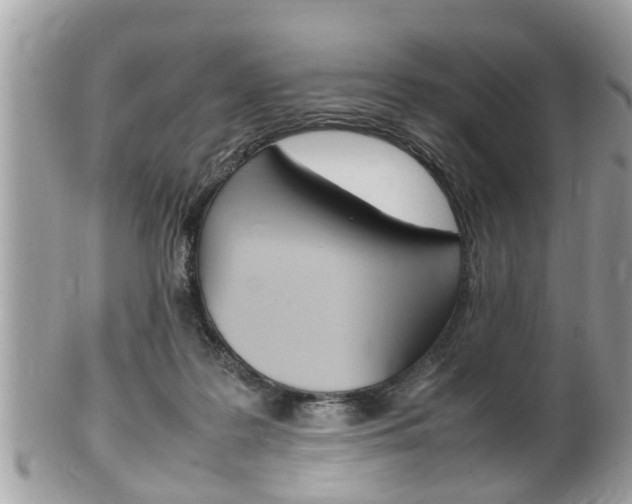 X0000100480219200806130739