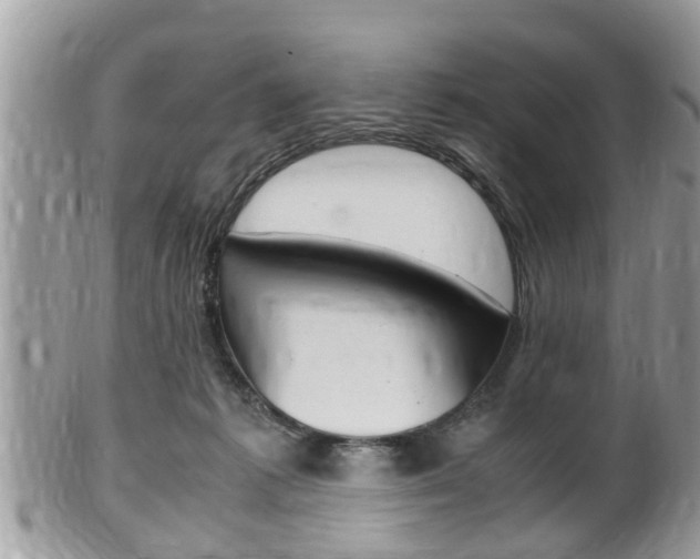 X0000100480221200806130739