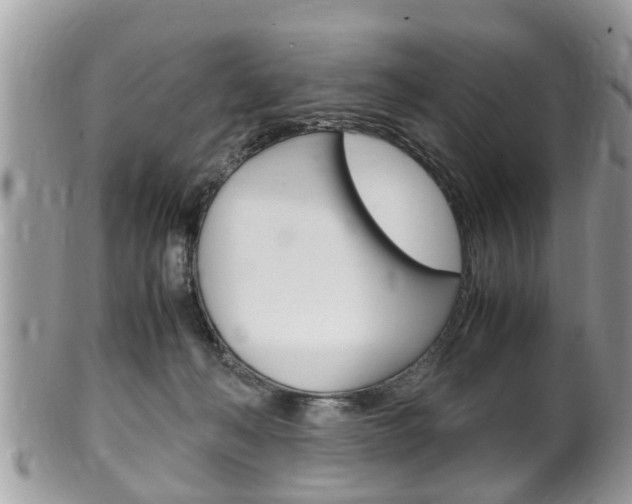 X0000100480222200806130739