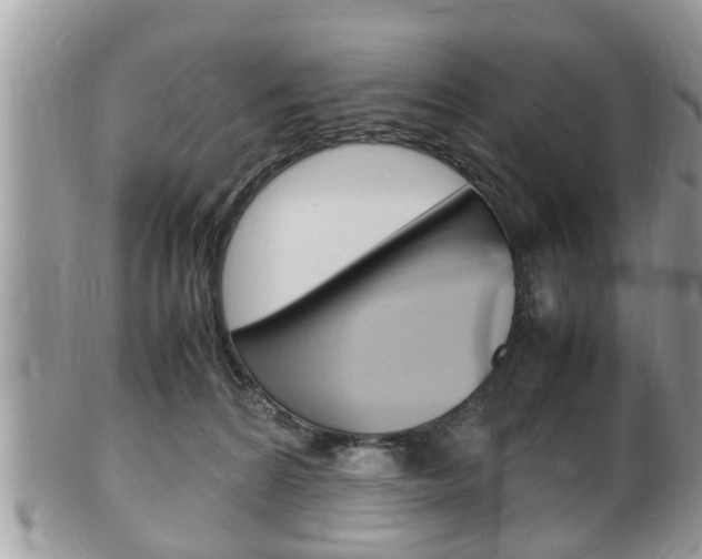 X0000100480224200806130739