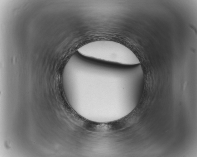 X0000100480225200806130739