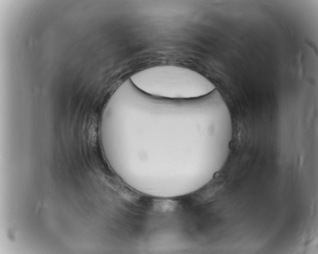X0000100480226200806130739