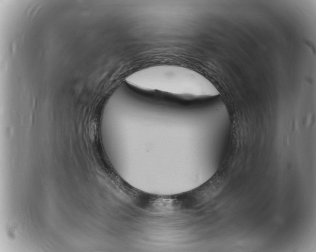 X0000100480227200806130739