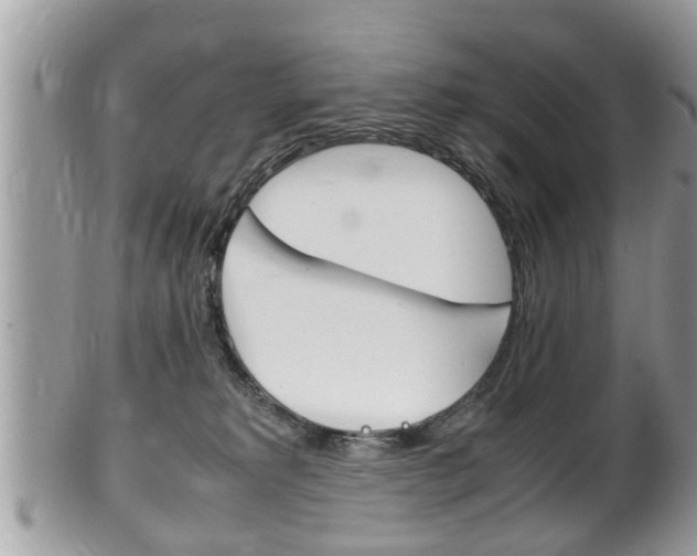 X0000100480229200806130739