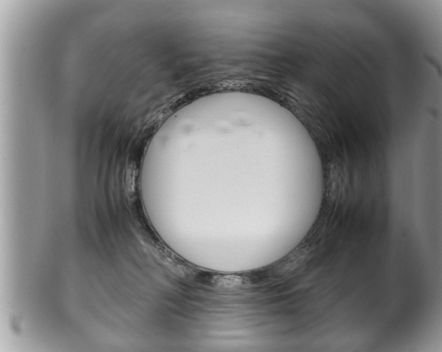 X0000100480230200806130739
