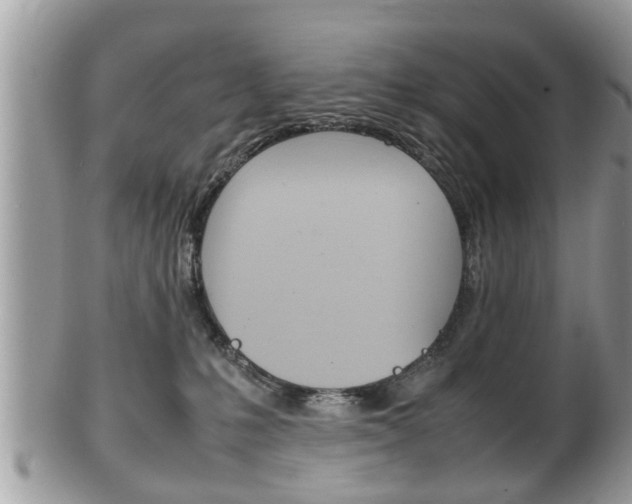 X0000100480231200806130739