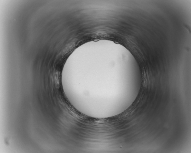 X0000100480232200806130739