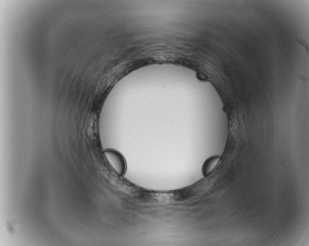 X0000100480233200806130739