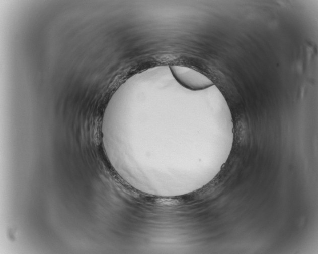 X0000100480234200806130739