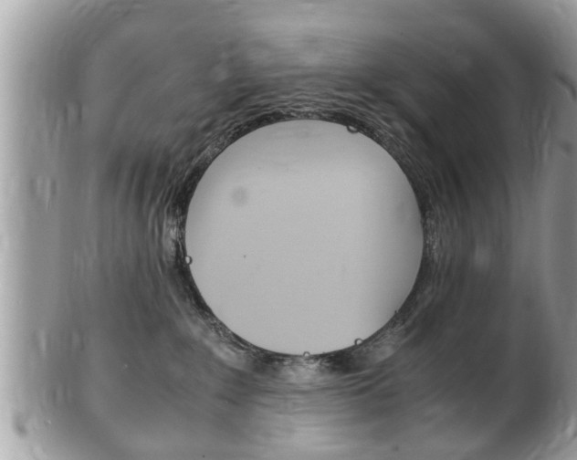 X0000100480235200806130739