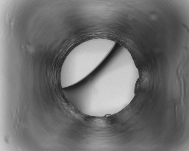 X0000100480236200806130739