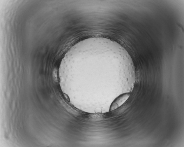 X0000100480238200806130739