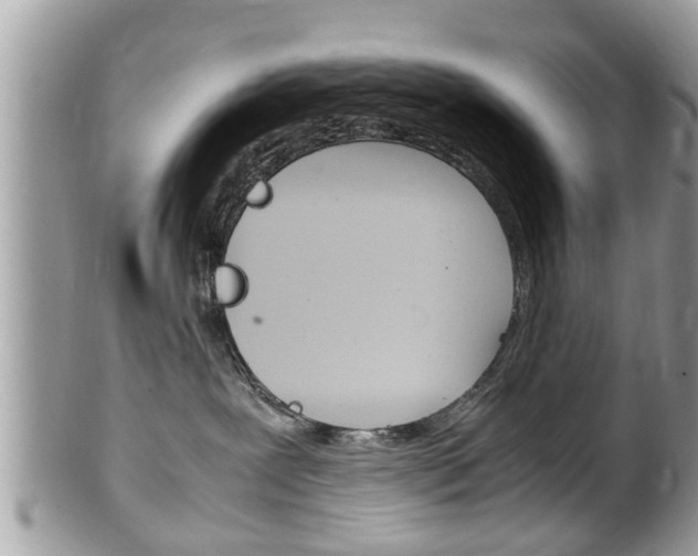 X0000100480239200806130739