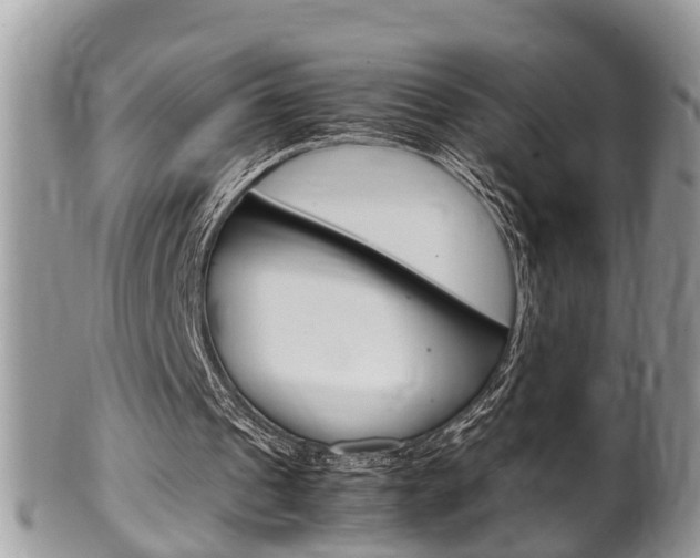 X0000100480241200806130738
