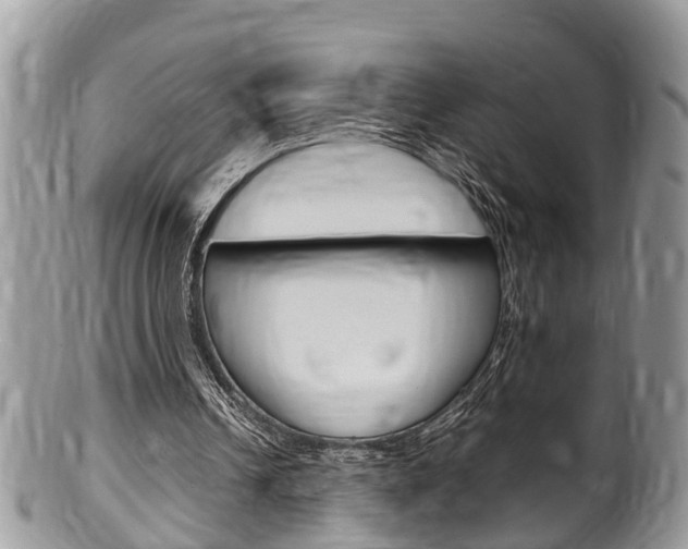 X0000100480242200806130738