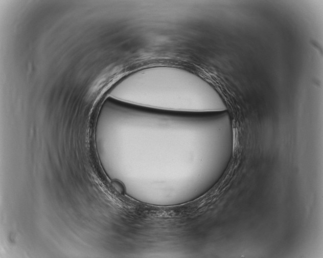 X0000100480243200806130738