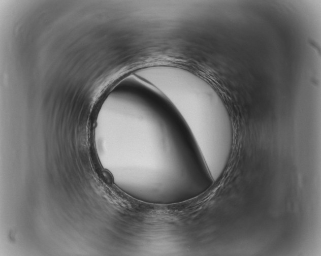 X0000100480244200806130738