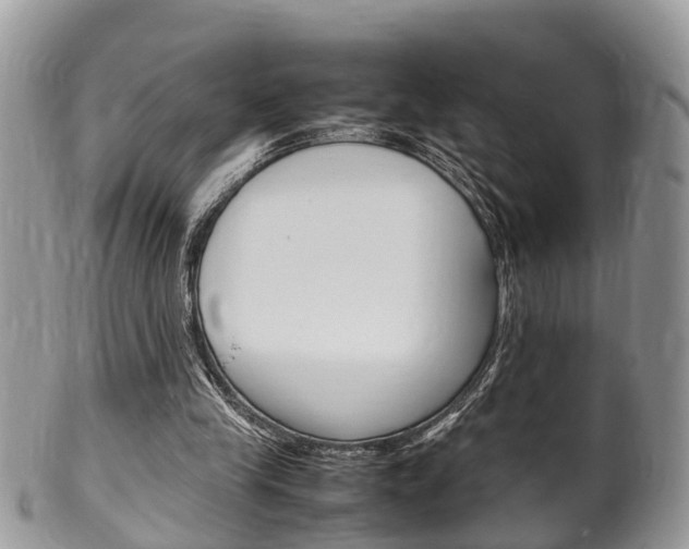 X0000100480245200806130738