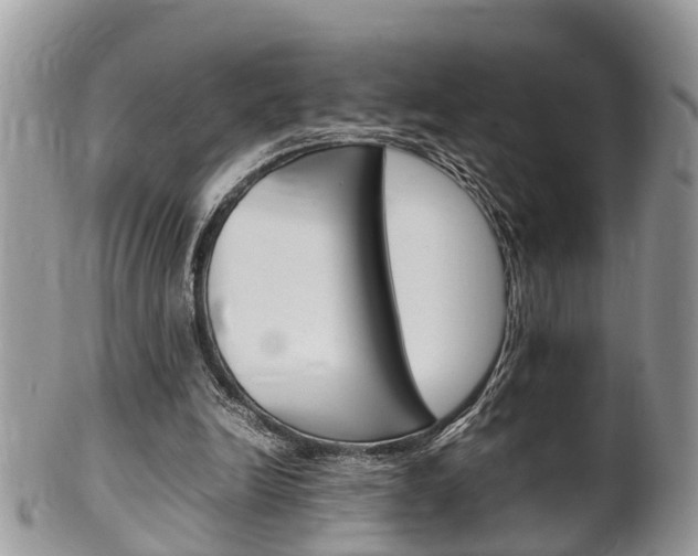 X0000100480246200806130738