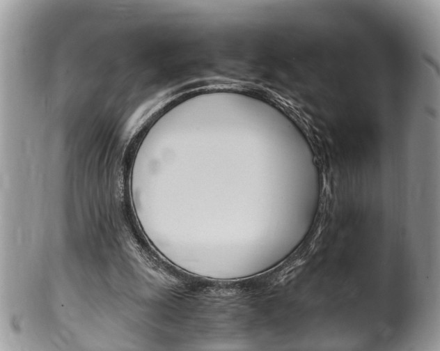 X0000100480247200806130738