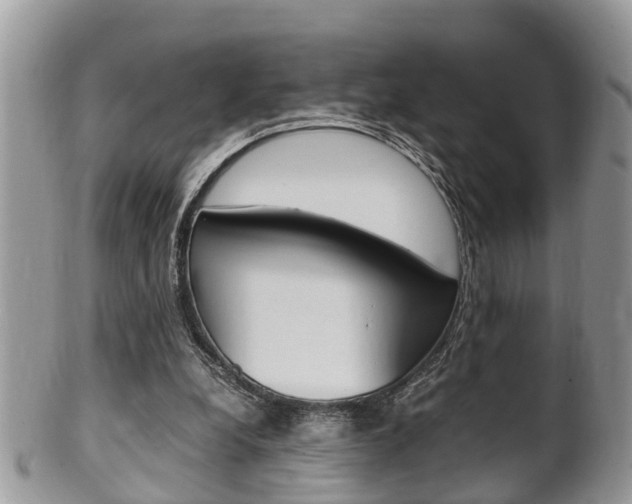 X0000100480248200806130738
