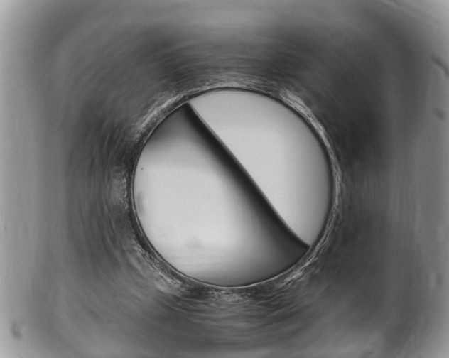 X0000100480249200806130738