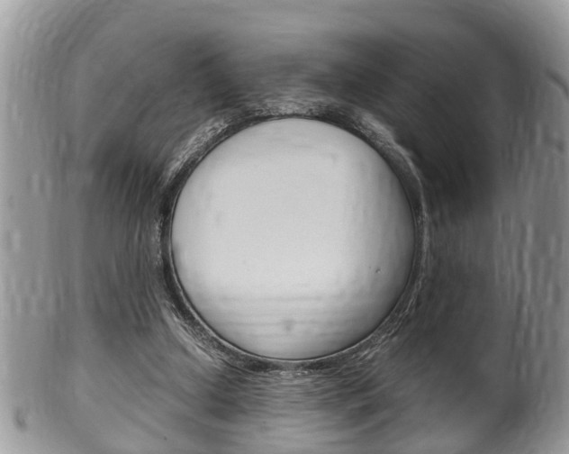 X0000100480250200806130738