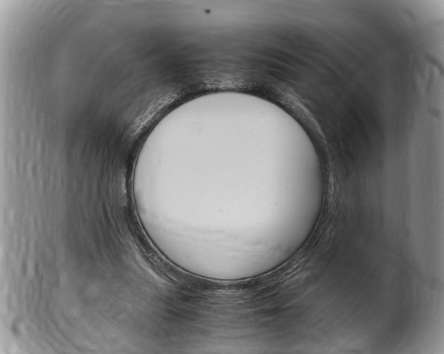 X0000100480251200806130739
