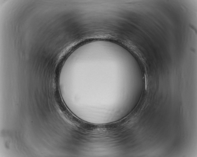 X0000100480252200806130739