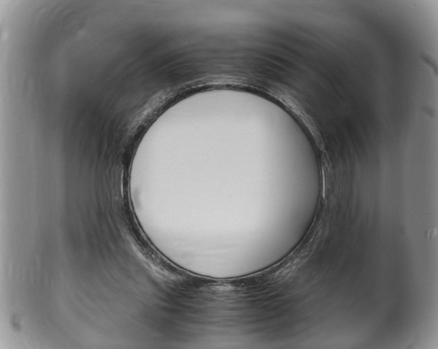 X0000100480253200806130739