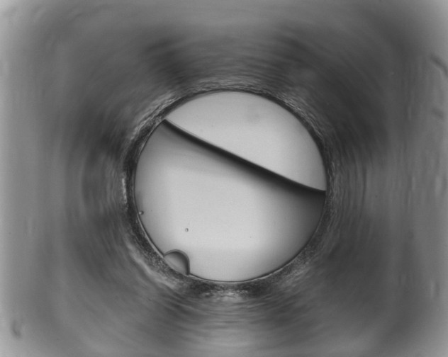 X0000100480254200806130739
