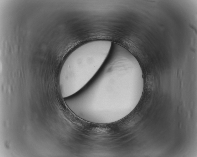 X0000100480255200806130739