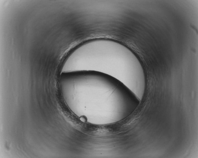 X0000100480256200806130739