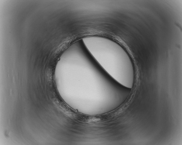 X0000100480257200806130739