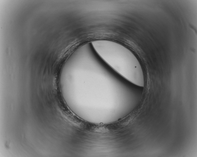 X0000100480258200806130739