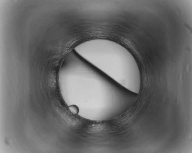 X0000100480259200806130739
