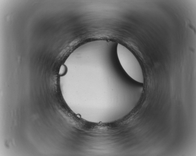 X0000100480260200806130739