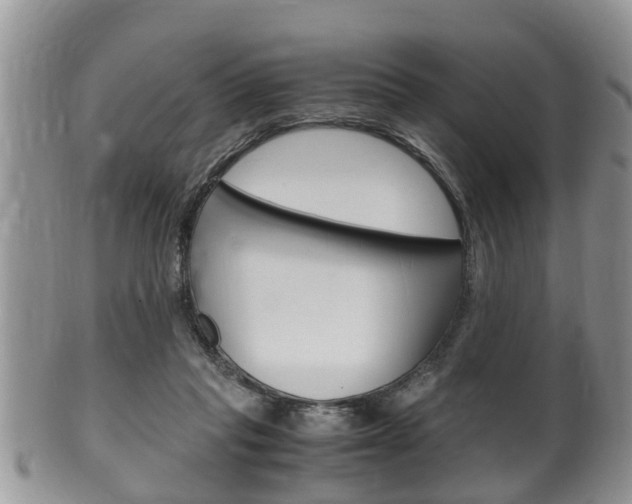 X0000100480261200806130739