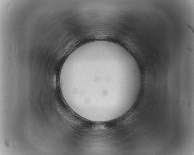 X0000100480262200806130739