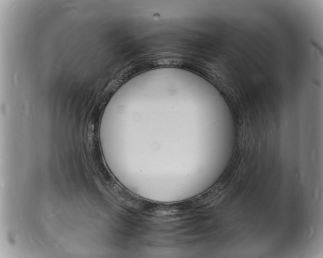 X0000100480263200806130739