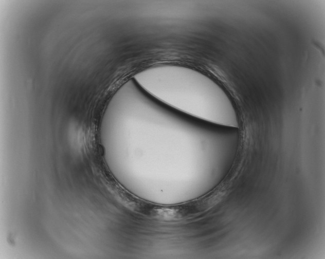 X0000100480265200806130739