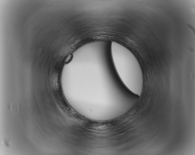X0000100480267200806130739