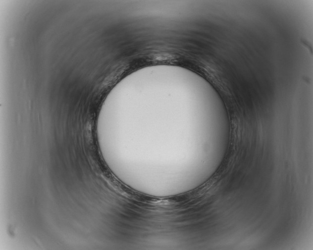 X0000100480269200806130739