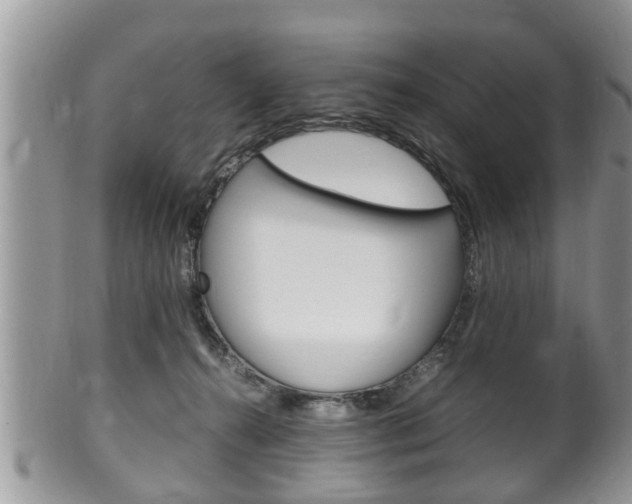 X0000100480272200806130739
