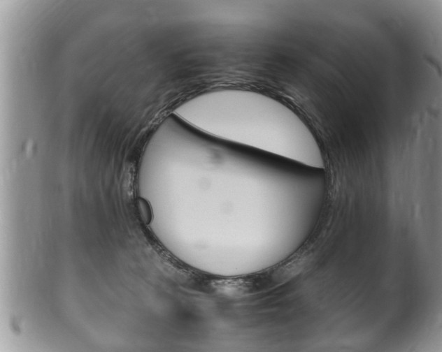 X0000100480273200806130739