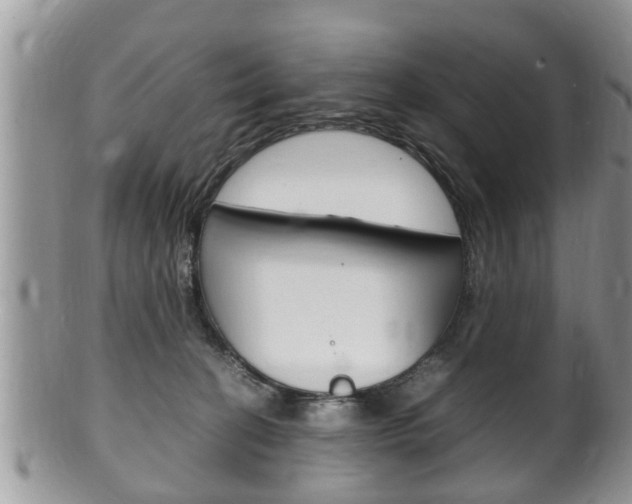 X0000100480274200806130739