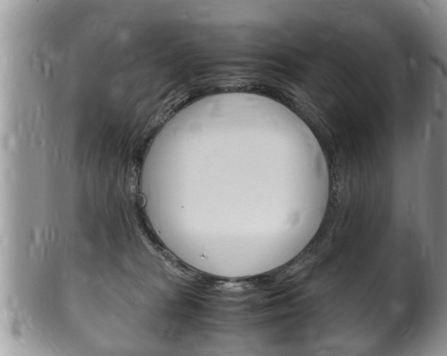 X0000100480277200806130739