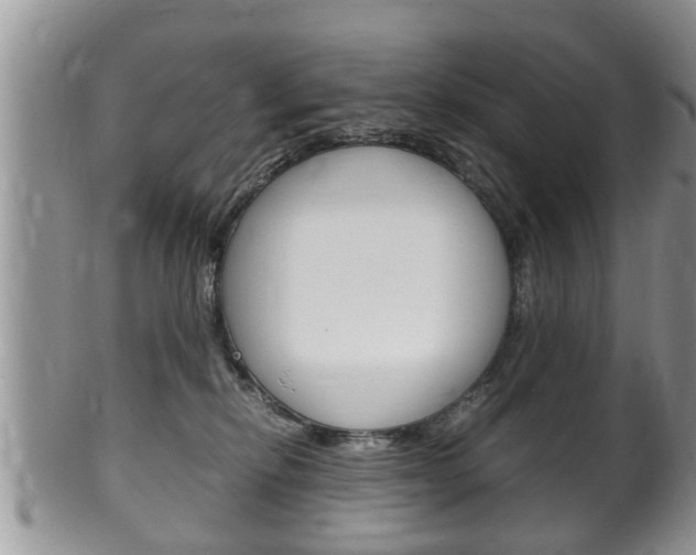 X0000100480278200806130739