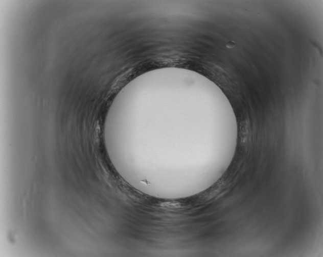 X0000100480279200806130739