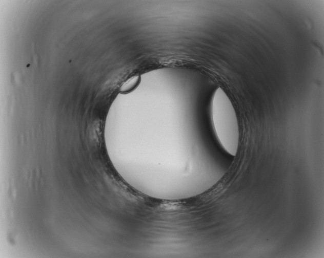 X0000100480280200806130739